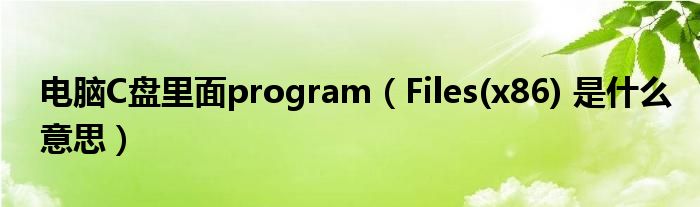 电脑C盘里面program（Files(x86) 是什么意思）