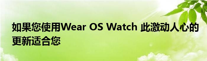 如果您使用Wear OS Watch 此激动人心的更新适合您