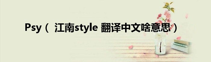 Psy（ 江南style 翻译中文啥意思）