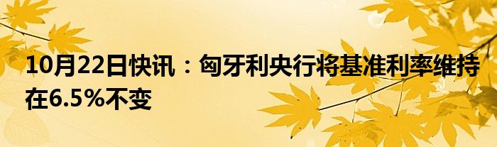 10月22日快讯：匈牙利央行将基准利率维持在6.5%不变